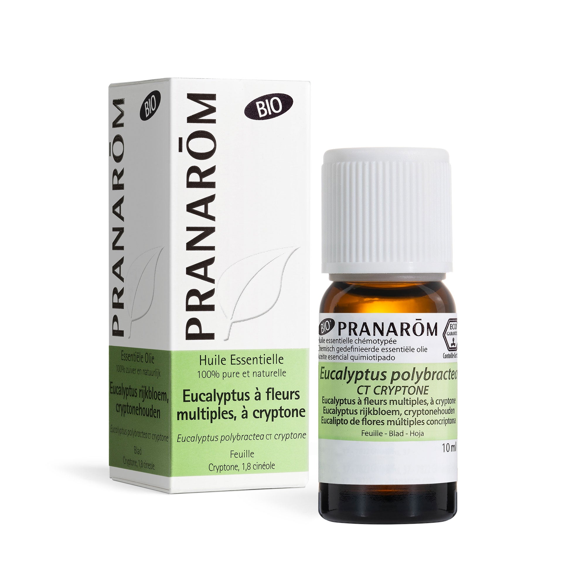 Pranarôm Huile essentielle d'Eucalyptus à fl. multiples, à cryptone BIO 10 ml