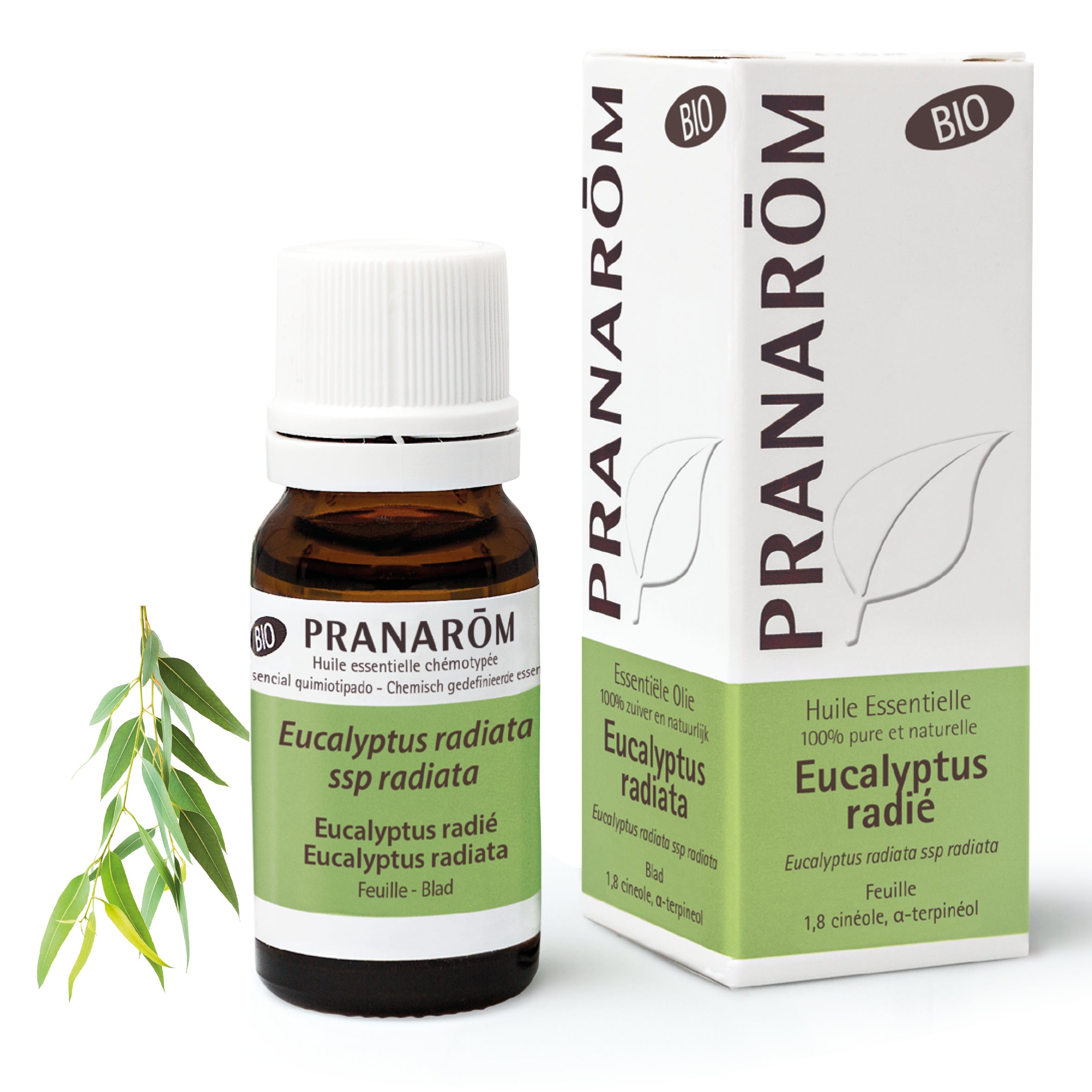 Pranarôm Huile essentielle d'Eucalyptus radié BIO 10 ml