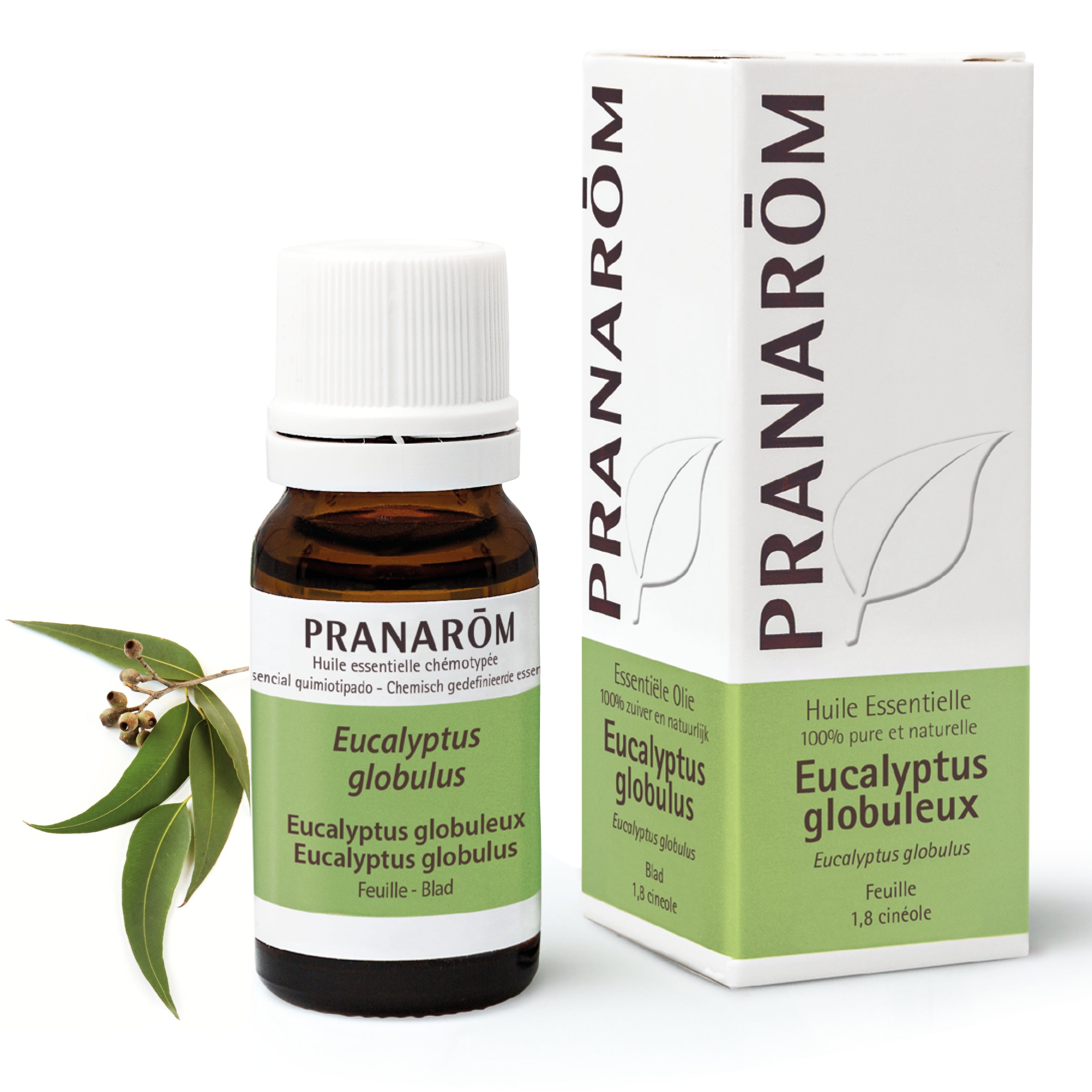 Pranarôm Huile essentielle d'Eucalyptus globuleux 10 ml