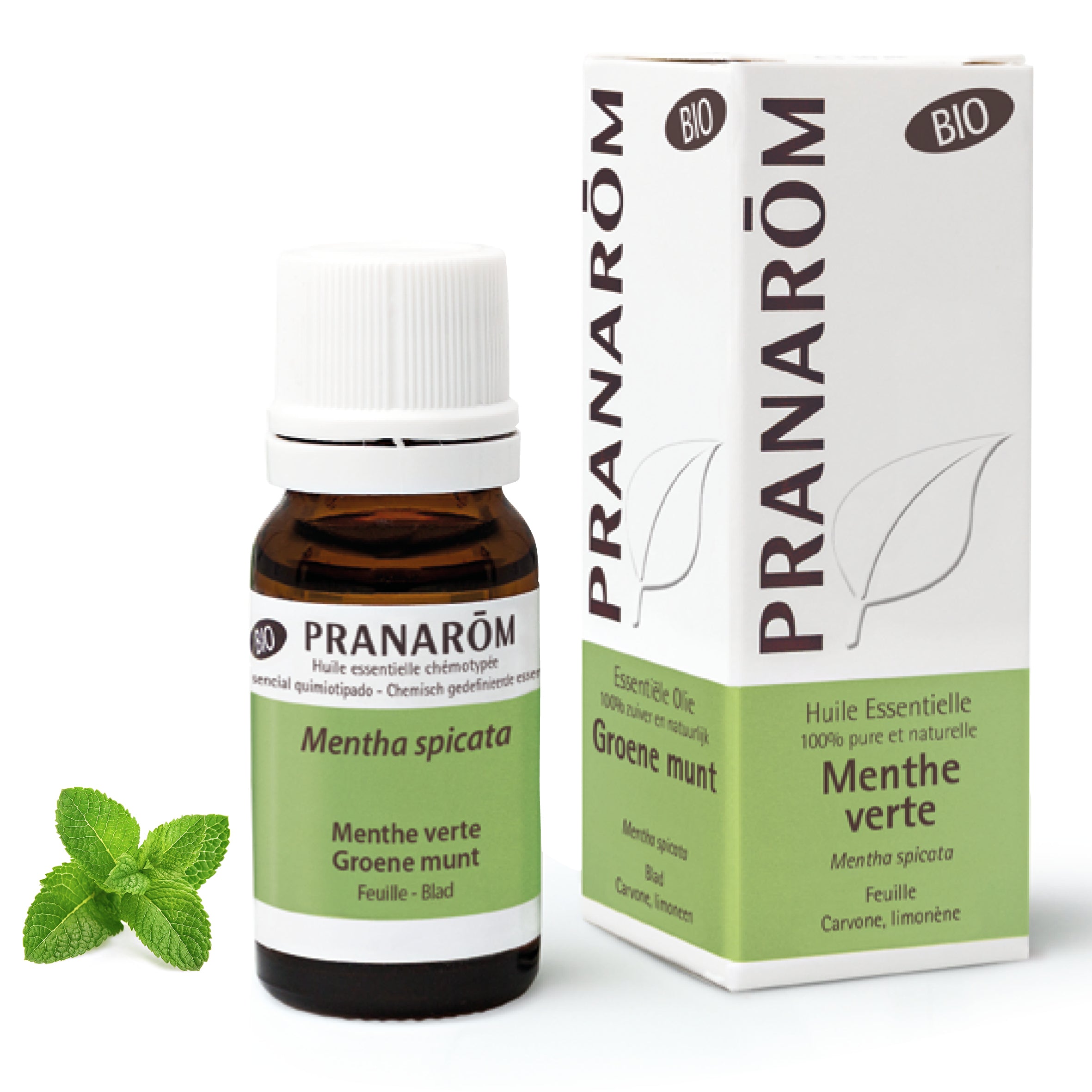 Pranarôm Huile essentielle de Menthe verte BIO 10 ml