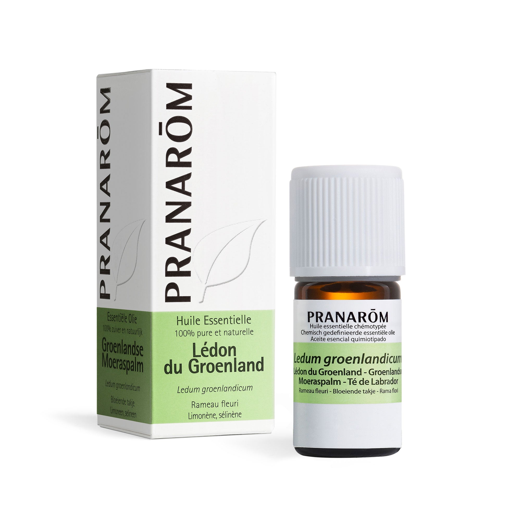 Pranarôm Huile essentielle Lédon du Groenland 5 ml