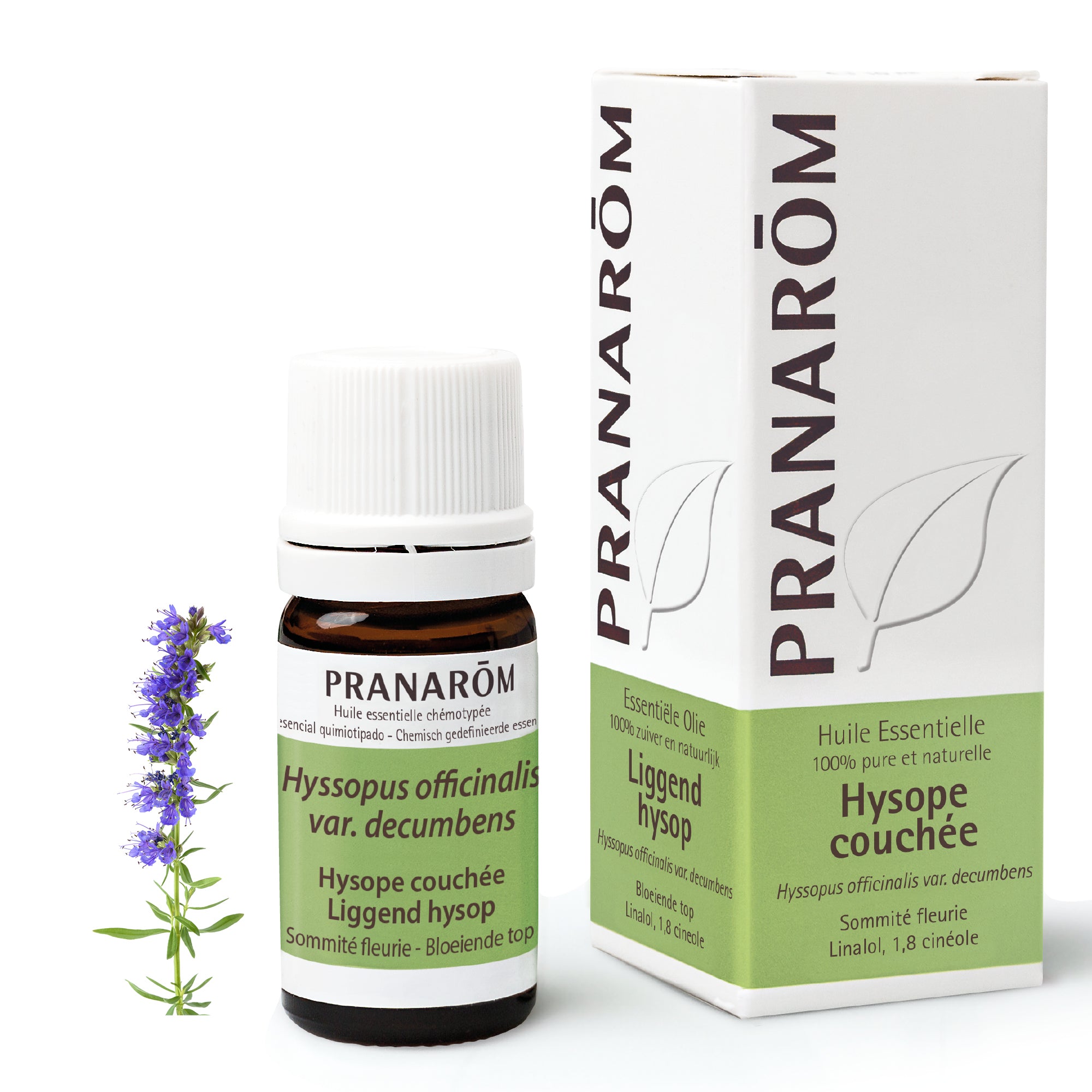 Pranarôm Huile essentielle d'Hysope couchée 5 ml