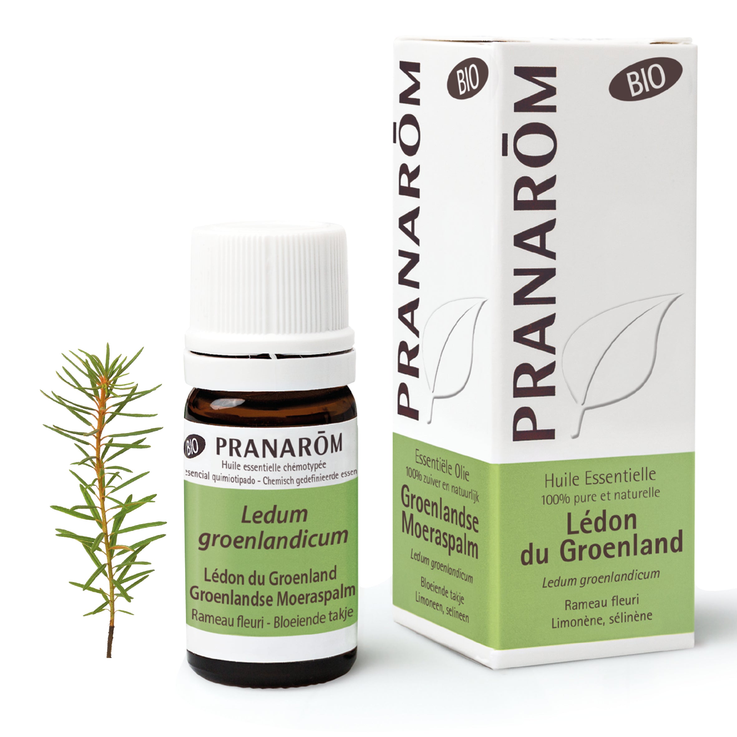 Pranarôm Huile essentielle de Lédon du Groenland BIO 5 ml