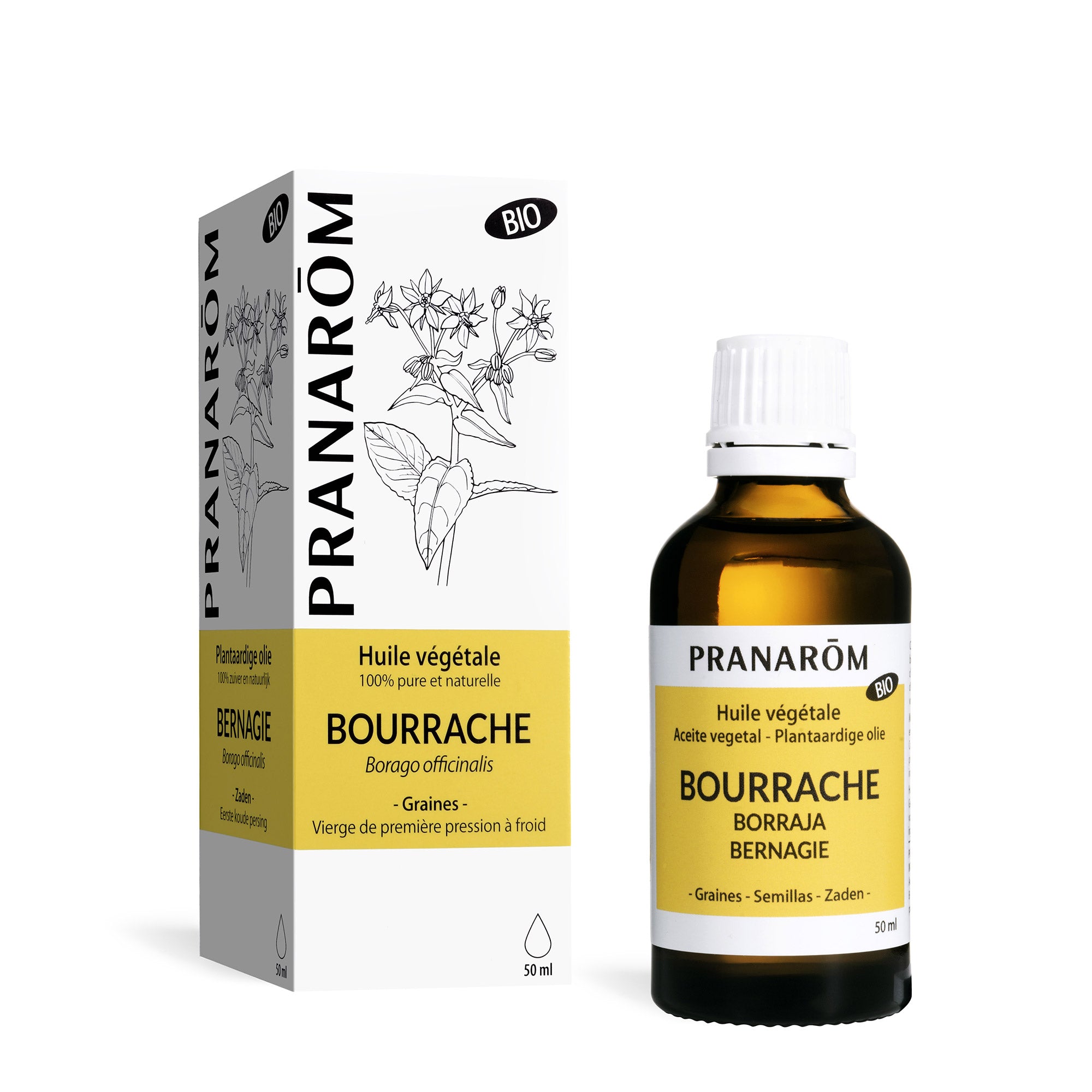 Pranarôm Huile végétale de Bourrache BIO 50 ml